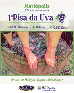 Primeira Pisa da Uva, no domingo dia 22-01-2023 na Festa da Uva de Mariopolis!